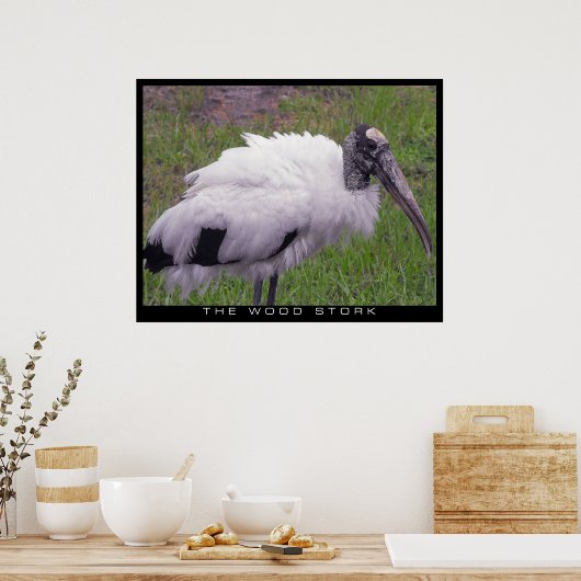 Ein Waldstorch Poster (Küche)