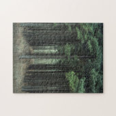 Ein Waldweg - Neues Wachstum - Bäume - Pinien - Puzzle (Horizontal)