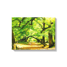 Ein Waldweg, Robin Hood Forest