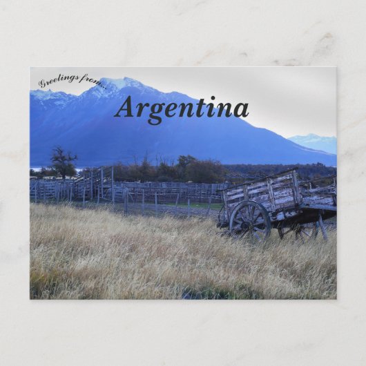 Ein Warenkorb in Patagonien Argentinien Postkarte (Vorderseite)