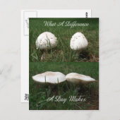 Ein was für Unterschied ein Tag macht Postkarte (Vorne/Hinten)