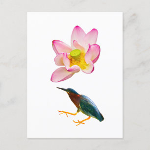 Ein Wasserlotus und ein Herd Postkarte