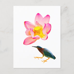 Ein Wasserlotus und ein Herd Postkarte