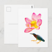 Ein Wasserlotus und ein Herd Postkarte (Vorne/Hinten)