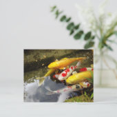 Ein Wasserweg voller japanischer Koi-Karpfen Postkarte (Stehend Vorderseite)