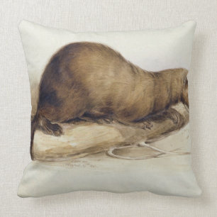 Ein Weasel, 1832 (w/c, Stift, Tinte, Gouache und Kissen