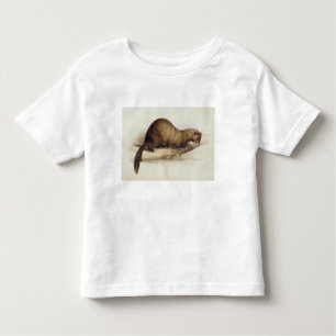 Ein Weasel, 1832 (w/c, Stift, Tinte, Gouache und Kleinkind T-shirt