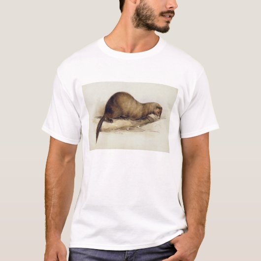 Ein Weasel, 1832 (w/c, Stift, Tinte, Gouache und T-Shirt (Vorderseite)