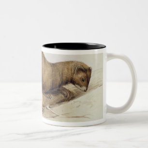 Ein Weasel, 1832 (w/c, Stift, Tinte, Gouache und Zweifarbige Tasse
