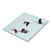 Ein Wedge von Ibises im Flug Fliese (Seite)