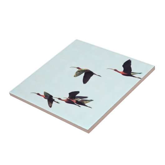 Ein Wedge von Ibises im Flug Fliese (Seite)