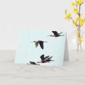 Ein Wedge von Ibises im Flug Karte (Gelbe Blume)