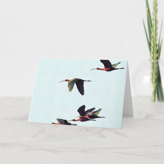 Ein Wedge von Ibises im Flug Karte (Vorderseite)