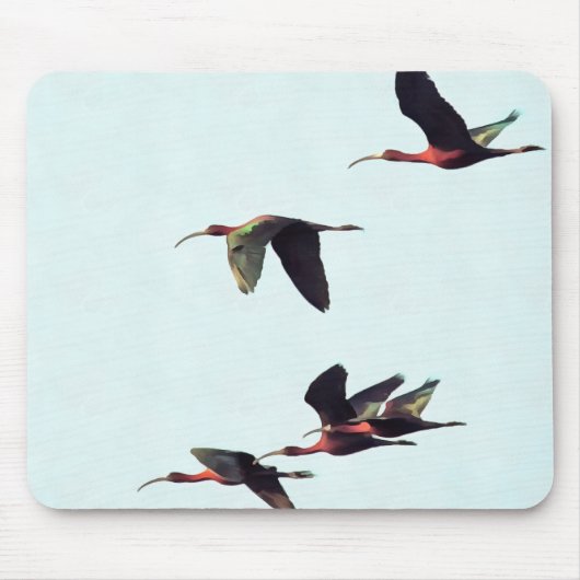 Ein Wedge von Ibises im Flug Mousepad (Vorne)