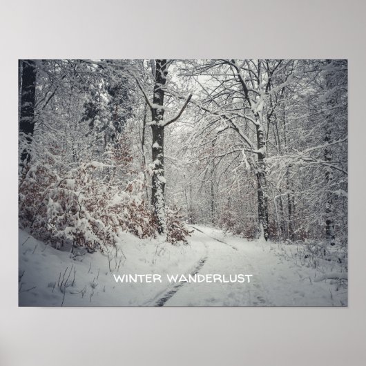 Ein Weg durch den verzauberten Winterwald Poster (Vorne)