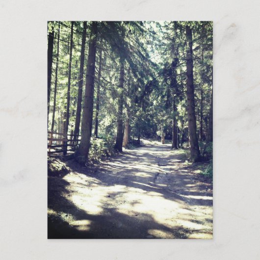 Ein Weg durch den Wald Postkarte (Vorderseite)