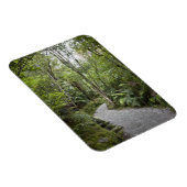 Ein Weg durch einen Regenwald am Fuße Magnet (Rechte Seite)