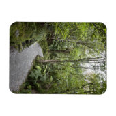 Ein Weg durch einen Regenwald am Fuße Magnet (Horizontal)