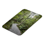 Ein Weg durch einen Regenwald am Fuße Magnet (Linke Seite)