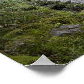 Ein Weg durch einen Regenwald am Fuße Poster (Ecke)