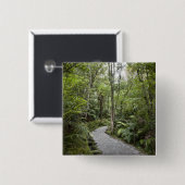 Ein Weg durch einen Regenwald an der Basis von Button (Vorne & Hinten)