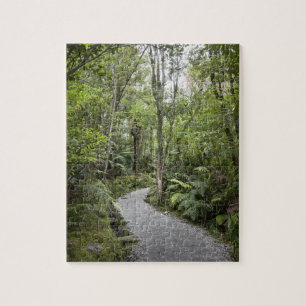 Ein Weg durch einen Regenwald an der Basis von Puzzle