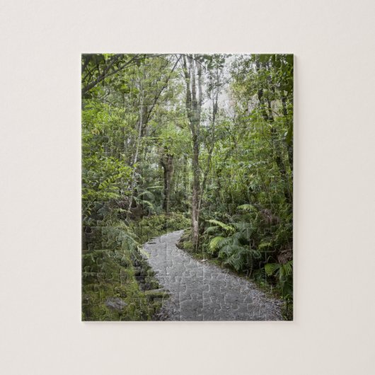 Ein Weg durch einen Regenwald an der Basis von Puzzle (Vertikal)