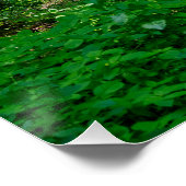 Ein Weg im grünen Wald Poster (Ecke)