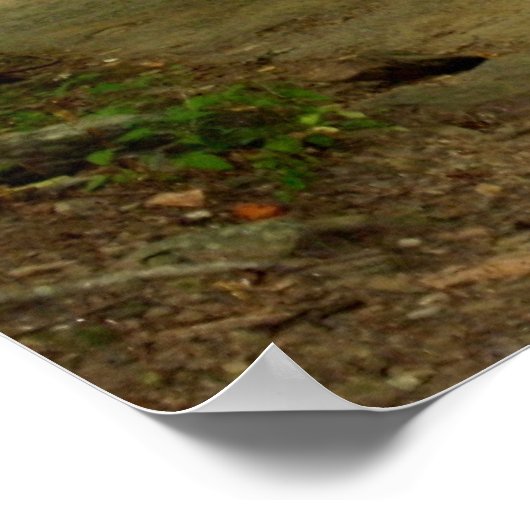 Ein Weg in den Wäldern Poster (Ecke)