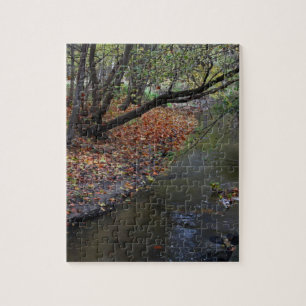 Ein Weg in Wildwood Puzzle