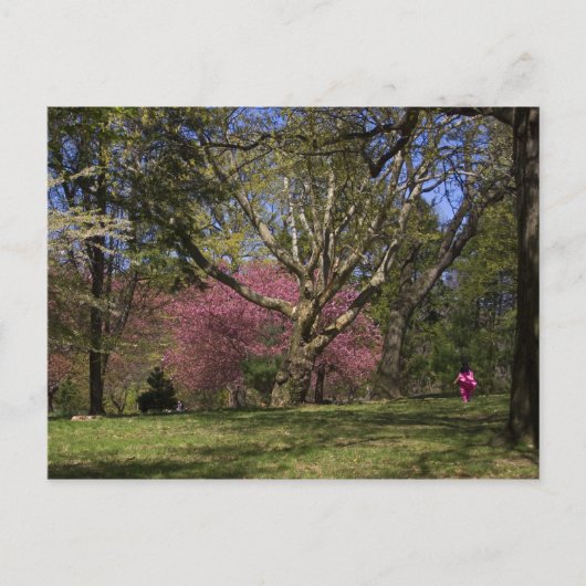 Ein Weg Postkarte (Vorderseite)