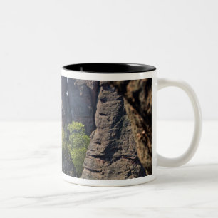 Ein Weg während der Belogradchik Schloss-Ruinen Zweifarbige Tasse
