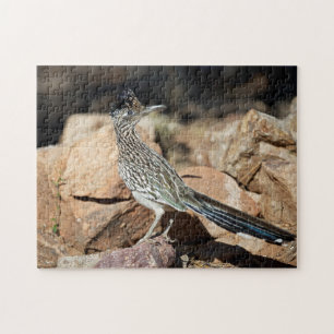 Ein Wegekuckuck hält bei seiner Suche für einen Mo Puzzle