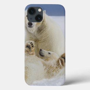 Ein weiblicher Eisbär und ihr Junges spielen im Sc Case-Mate iPhone Hülle