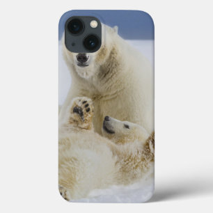 Ein weiblicher Eisbär und ihr Junges spielen im Sc iPhone 13 Hülle