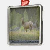 Ein weiblicher Elch steht, betrachtend die Kamera Silbernes Ornament (Links)