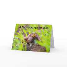 Ein Weihnachtshund Poo für dich