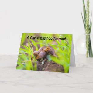 Ein Weihnachtshund Poo für dich Feiertagskarte