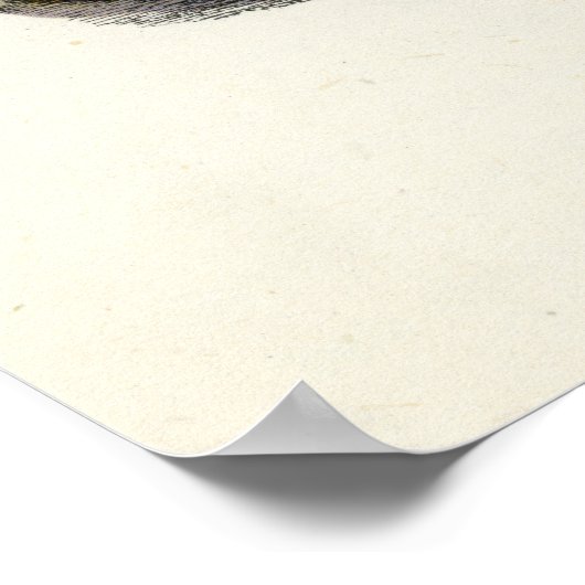 Ein Weihnachtslied - Marleys Geist Poster (Ecke)