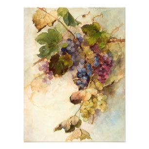 Ein Wein der Trauben von Franz Bischoff Fotodruck