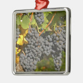 Ein Wein mit reifen Merlot-Trauben - Chateau Silbernes Ornament (Links)