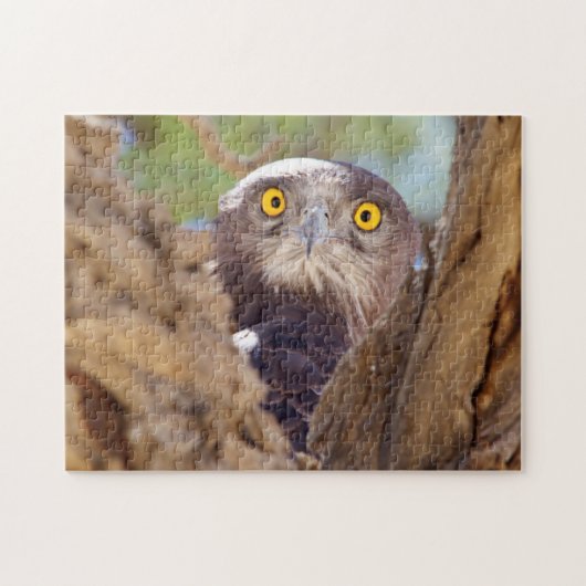 Ein Weißbrasse-Adler Puzzle (Horizontal)