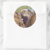 Ein Weißbrasse-Adler Runder Aufkleber (Tasche)