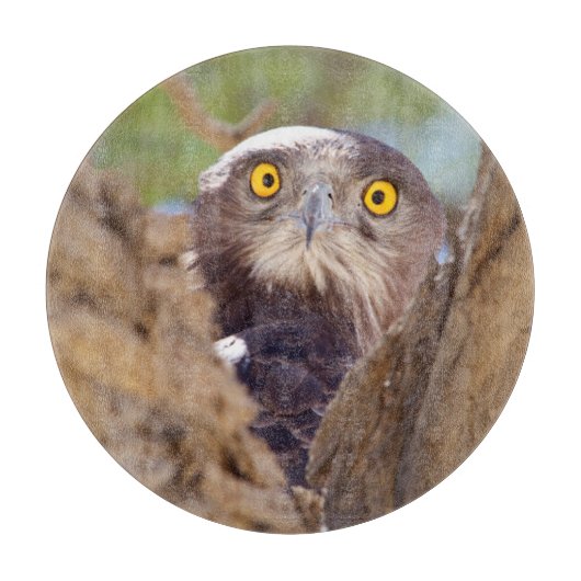 Ein Weißbrasse-Adler Schneidebrett (Vorderseite)
