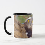 Ein Weißbrasse-Adler Tasse (Links)