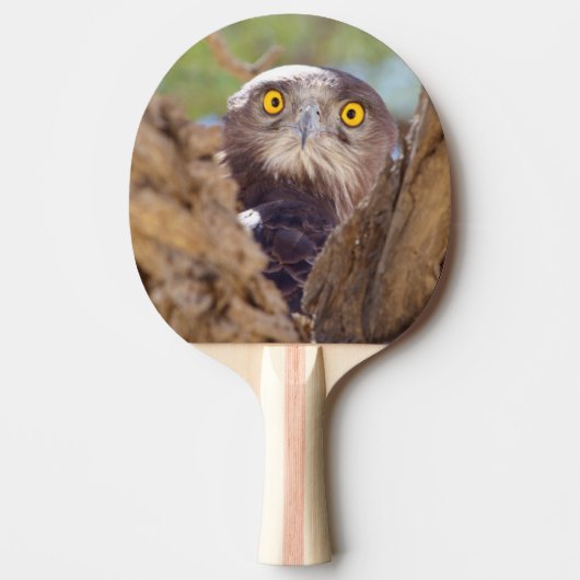 Ein Weißbrasse-Adler Tischtennis Schläger (Vorderseite)