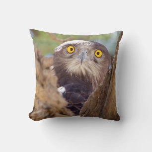 Ein Weißbrust-Schlangeneagle Kissen