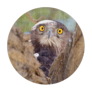 Ein Weißbrust-Schlangeneagle Schneidebrett