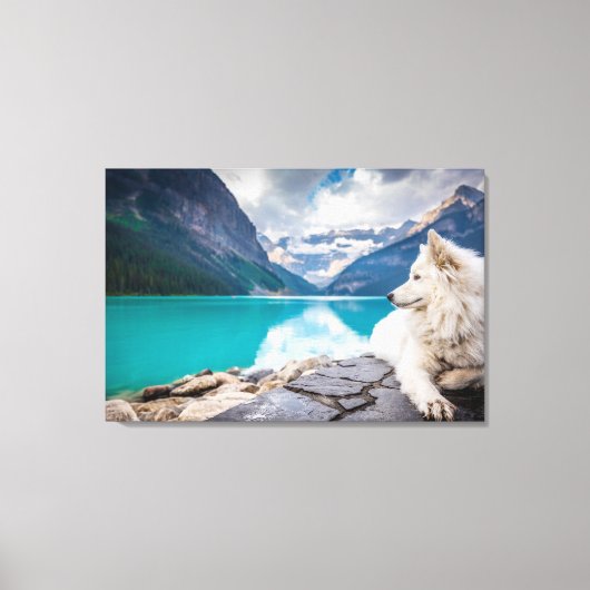 Ein weißer Hund sitzt auf Felsformationen Leinwanddruck (Vorderseite)