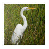 Ein weißer Reiher im Sumpf Fliese (Vorderseite)